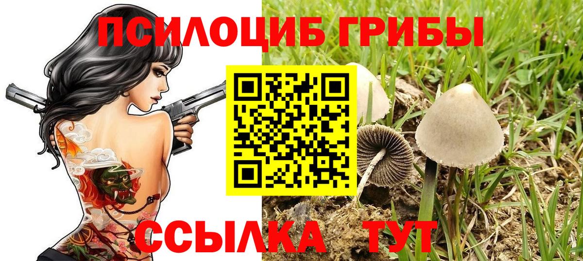 Галлюциногенные грибы Cubensis Унеча