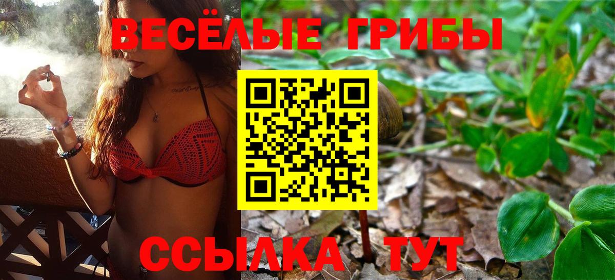 Унеча  Галлюциногенные грибы Psilocybe  Вход с VPN 